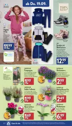 Gazetka promocyjna Aldi Nord - Von Montag - Gazetka - ważna od 21.09 do 21.09.2024 - strona 22 - produkty: aldi, Alpenveilchen, Anzug, Bau, baumwolle, bett, decksohle, eis, garnitur, gin, hose, kulturtopf, obermaterial synthetik, pflanze, pflanzen, phalaenopsis, Ria, rwe, shirt, sneaker, Ti, topf, wolle