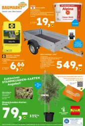 Gazetka promocyjna  - Gazetka - ważna od 07.06 do 07.06.2025 - strona 24 - produkty: angebot, Anhänger, Bau, eimer, eis, globus fachmärkte, kraft, latte, olive, oliven, reifen, reis, sac, Ti, topf, wasser