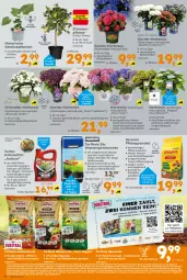 Gazetka promocyjna - Gazetka - ważna od 07.06 do 07.06.2025 - strona 8 - produkty: auer, Bau, Bauer, beutel, bio, blume, blumen, blumenerde, Blüte, citrus, eis, elle, erde, frucht, Garten, Girlande, hortensie, HP, hydrangea, hydrangea macrophylla, Kinder, Kraut, kräuter, Leuchte, leuchten, limo, mac, mit frucht, natur, nuss, obst, rasen, Rasenerde, reis, ring, Rollrasen, sac, starlight, Ti, Tiere, topf, usb, wasser, zitrone, zitronen
