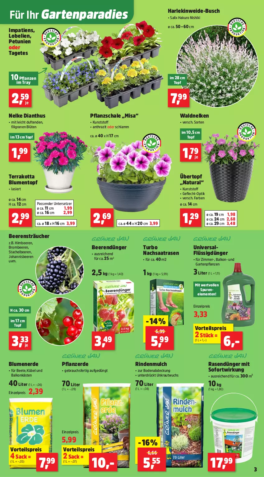 Aktueller Prospekt Thomas Philipps - von 19.05 bis 24.05.2025 - strona 3 - produkty: beere, beeren, blume, blumen, blumenerde, Blüte, brombeere, brombeeren, dünger, eis, ente, erde, flüssigdünger, Garten, Gartenpflanze, himbeer, himbeere, himbeeren, johannisbeere, Johannisbeeren, Kraut, lamm, Lobelie, natur, natura, petunie, petunien, pflanze, pflanzen, pflanzerde, rasen, rasendünger, Rauch, reis, rind, rindenmulch, sac, Schal, Schale, Stachelbeeren, Ti, topf, übertopf, Untersetzer, vorteilspreis