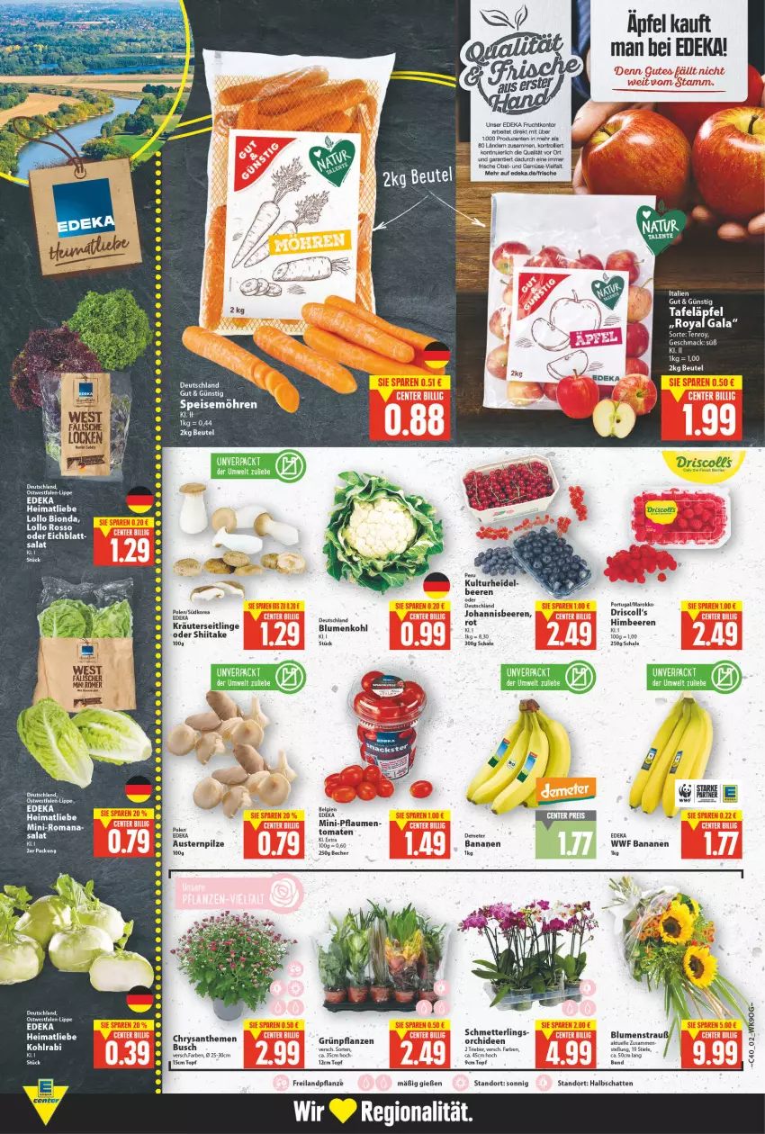 Aktueller Prospekt E Center - Angebote der Woche - von 04.10 bis 09.10.2021 - strona 2