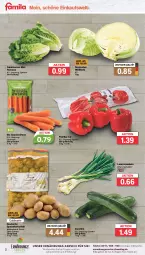 Gazetka promocyjna Famila - Prospekte - Gazetka - ważna od 20.01 do 20.01.2024 - strona 2 - produkty: beutel, bio, eis, kartoffel, kartoffeln, Lauchzwiebel, lauchzwiebeln, lebensmittel, möhren, paprika, paprika rot, sac, salat, salatherzen, snack, speisekartoffeln, telefon, Ti, Weißkohl, zucchini, zwiebel, zwiebeln