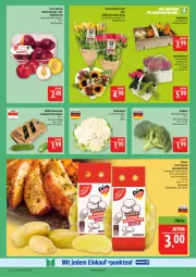 Gazetka promocyjna Marktkauf - Prospekt - Gazetka - ważna od 06.09 do 06.09.2025 - strona 11 - produkty: blume, blumen, blumenkohl, brokkoli, deka, eis, fleisch, gurke, gurken, kartoffel, kartoffeln, korb, Kürbis, mini-gurken, Nektar, nektarinen, pflanze, pflanzen, reis, Ria, rosen, speisekartoffeln, Ti