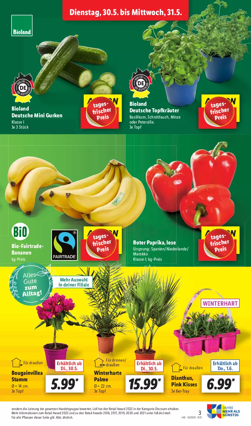 Aktueller Prospekt Lidl - Aktionsprospekt - von 30.05 bis 03.06.2023 - strona 3 - produkty: banane, bananen, bio, bioland, discount, eis, reis, Ti