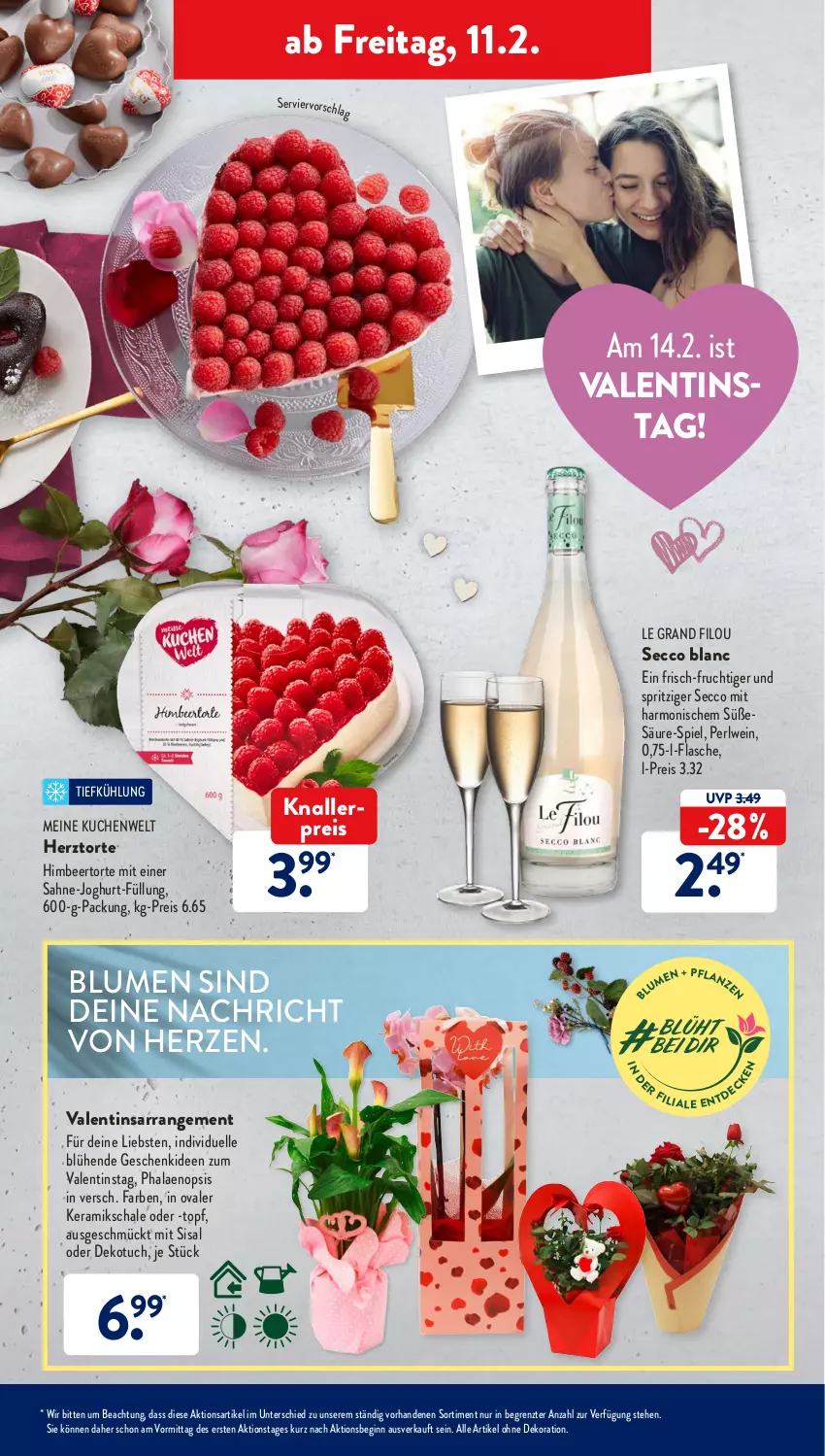 Aktueller Prospekt AldiSud - ALDI Aktuell - von 07.02 bis 12.02.2022 - strona 41 - produkty: alle artikel ohne dekoration, bier, blume, blumen, dekoration, ecco, eis, elle, flasche, frucht, gin, himbeer, joghur, joghurt, knallerpreis, kuchen, phalaenopsis, reis, sahne, Schal, Schale, Ti, topf, torte, tuc, wein, ZTE