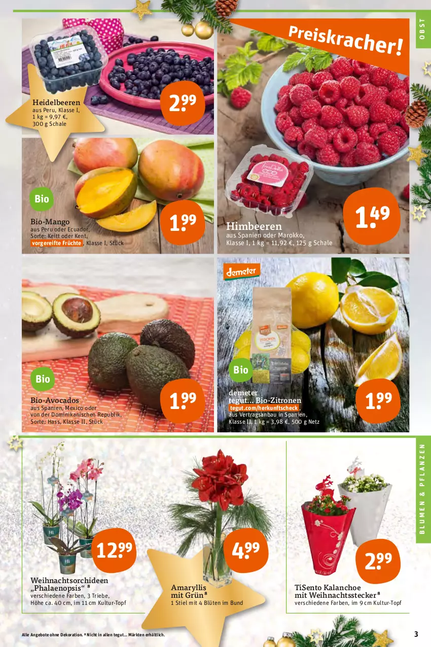 Aktueller Prospekt Tegut - Angebote der Woche - von 19.12 bis 24.12.2022 - strona 5 - produkty: angebot, angebote, avocado, avocados, Bau, beere, beeren, bio, bio-zitronen, blume, blumen, Blüte, dekoration, früchte, heidelbeere, heidelbeeren, himbeer, himbeere, himbeeren, Kalanchoe, mango, obst, orchidee, orchideen, pflanze, pflanzen, phalaenopsis, Schal, Schale, Ti, topf, zitrone, zitronen