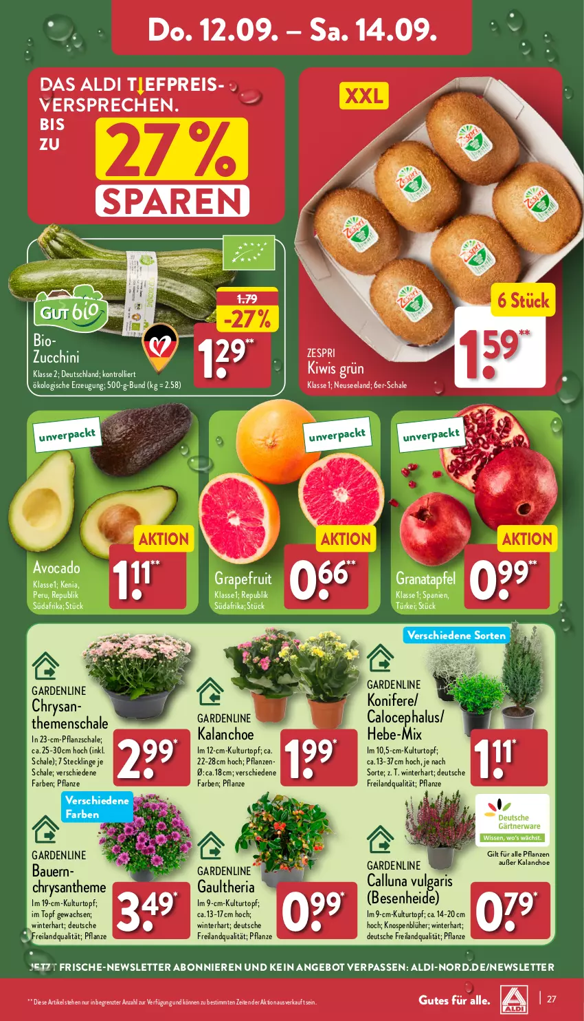 Aktueller Prospekt Aldi Nord - Von Montag - von 09.09 bis 14.09.2024 - strona 27 - produkty: aldi, angebot, apfel, auer, avocado, Bau, Bauer, bio, chrysanthemen, eis, Elan, grana, granatapfel, grapefruit, Kalanchoe, kiwi, Konifere, kulturtopf, LG, pflanze, pflanzen, Rana, reis, Ria, Schal, Schale, Ti, topf, trolli, zespri, ZTE, zucchini