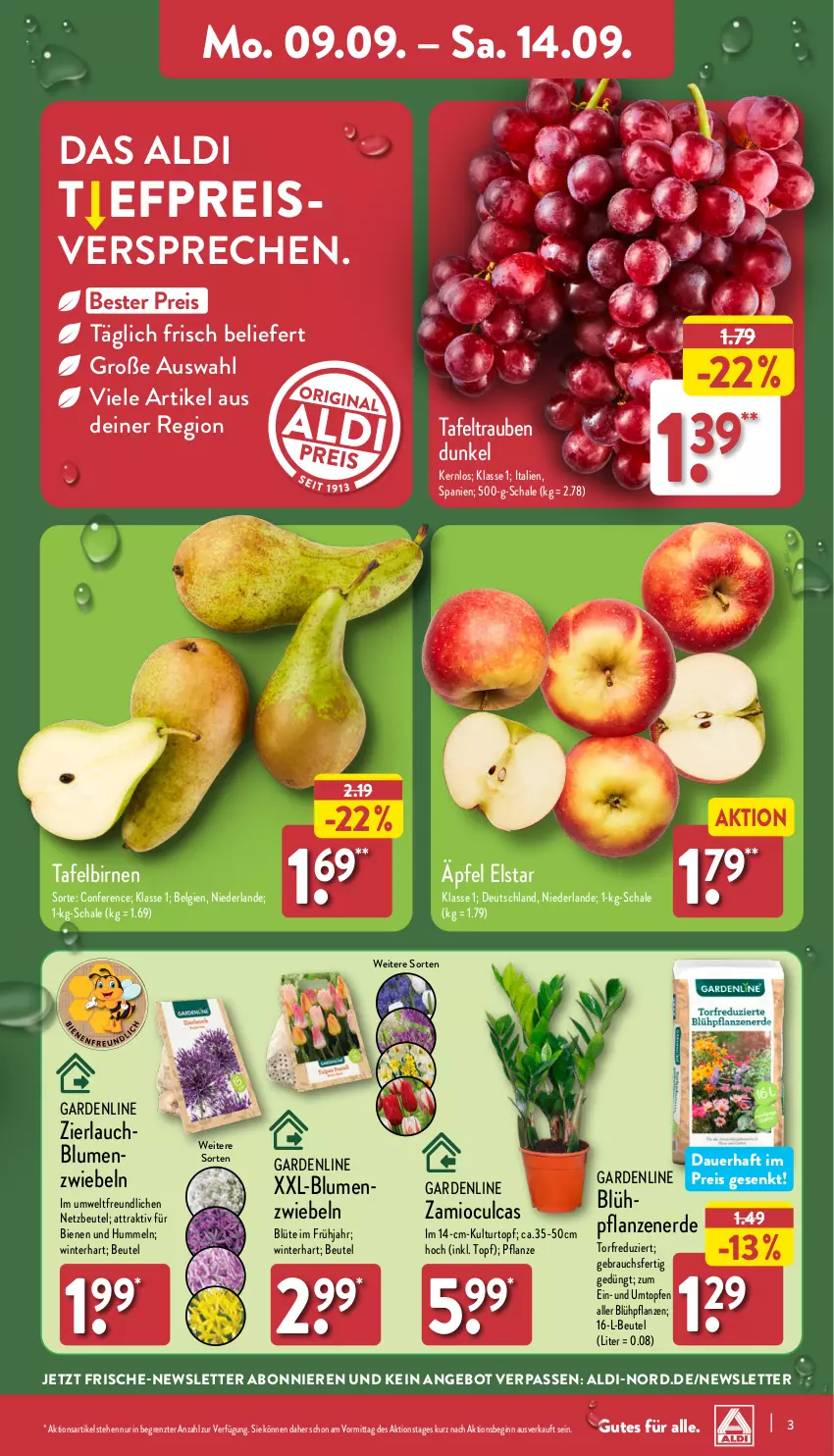 Aktueller Prospekt Aldi Nord - Von Montag - von 09.09 bis 14.09.2024 - strona 3 - produkty: aldi, angebot, auer, beutel, Birnen, blume, blumen, Blüte, eis, erde, gin, HP, kulturtopf, LG, pflanze, pflanzen, Rauch, reis, Schal, Schale, tafelbirnen, tafeltrauben, Ti, topf, Topfen, trauben, ZTE, zwiebel, zwiebeln