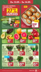 Gazetka promocyjna Aldi Nord - Von Montag - Gazetka - ważna od 14.09 do 14.09.2024 - strona 27 - produkty: aldi, angebot, apfel, auer, avocado, Bau, Bauer, bio, chrysanthemen, eis, Elan, grana, granatapfel, grapefruit, Kalanchoe, kiwi, Konifere, kulturtopf, LG, pflanze, pflanzen, Rana, reis, Ria, Schal, Schale, Ti, topf, trolli, zespri, ZTE, zucchini