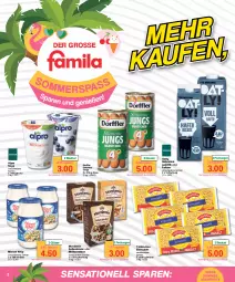 Gazetka promocyjna Famila - Prospekte - Gazetka - ważna od 29.07 do 29.07.2023 - strona 2 - produkty: alpro, Becher, beutel, drink, eier, eiernudeln, eis, Gläser, hafer, Haferdrink, mehl, miracel, miracel whip, mondamin, nudel, nudeln, reis, Soße, soya, Ti