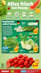 Gazetka promocyjna Penny - Prospekte - Gazetka - ważna od 17.09 do 17.09.2022 - strona 2 - produkty: fenster, hella, Lauchzwiebel, regal, Schal, Schale, Ti, tomate, tomaten, zwiebel