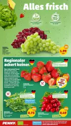 Gazetka promocyjna Penny - Prospekte - Gazetka - ważna od 21.05 do 21.05.2022 - strona 2 - produkty: beere, beeren, cola, erdbeere, erdbeeren, radieschen, rucola