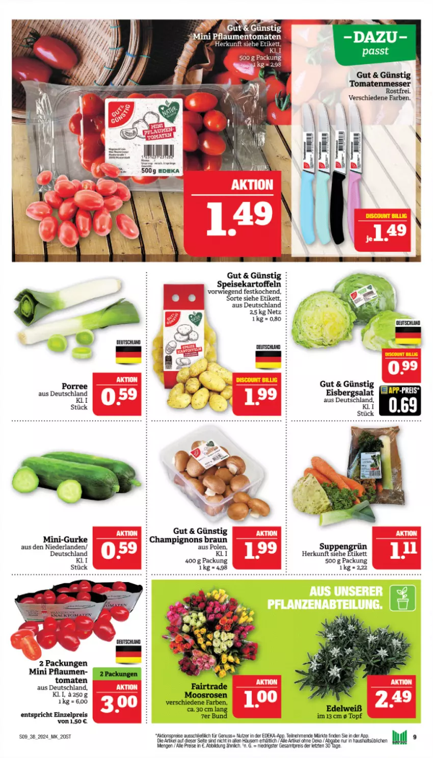 Aktueller Prospekt Marktkauf - Prospekt - von 15.09 bis 21.09.2024 - strona 9 - produkty: aktionspreis, aust, braun, champignon, champignons, champignons braun, deka, eis, eisbergsalat, gurke, leine, messer, nuss, pflaume, pflaumen, reis, salat, suppe, suppen, Ti, tomate, tomaten, topf, ZTE