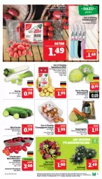 Gazetka promocyjna Marktkauf - Prospekt - Gazetka - ważna od 21.09 do 21.09.2024 - strona 9 - produkty: aktionspreis, aust, braun, champignon, champignons, champignons braun, deka, eis, eisbergsalat, gurke, leine, messer, nuss, pflaume, pflaumen, reis, salat, suppe, suppen, Ti, tomate, tomaten, topf, ZTE