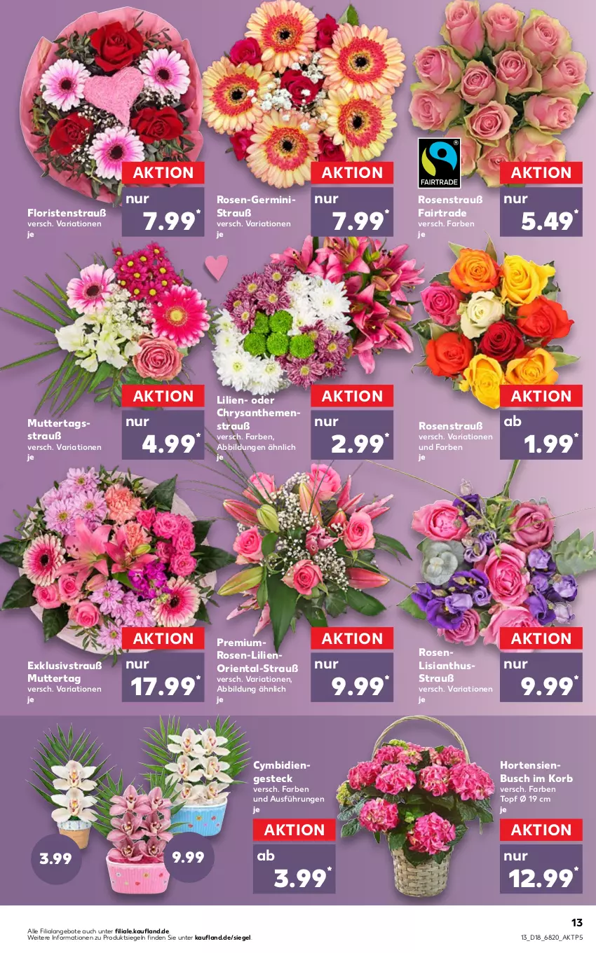 Aktueller Prospekt Kaufland - von 05.05 bis 11.05.2022 - strona 13 - produkty: angebot, angebote, chrysanthemen, Germ, hortensie, hortensien, korb, Ria, rosen, Rosenstrauß, Ti, topf