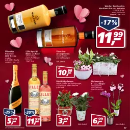 Gazetka promocyjna Real - Real Handzettel - Gazetka - ważna od 12.02 do 12.02.2022 - strona 17 - produkty: aperitif, ecco, eis, flasche, HP, Kalanchoe, likör, lillet, mionetto, pflanze, pflanzen, phalaenopsis, prosecco, reis, rosen, Ti, topf, übertopf