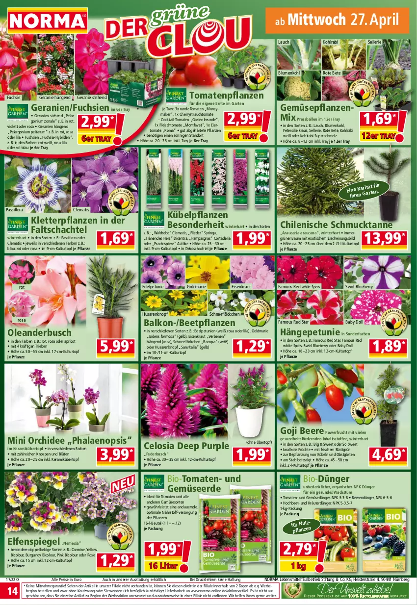 Aktueller Prospekt Norma - Norma - von 25.04 bis 02.05.2022 - strona 14 - produkty: asti, auer, ball, Bau, Bebe, beere, beeren, beetpflanzen, beutel, bio, blueberry, blume, blumen, blumenkohl, Blüte, caria, cocktail, dünger, eier, eis, elle, erde, fleisch, flieder, frucht, früchte, Garten, Gemüsedünger, Gemüseerde, geranie, geranien, Gesundheit, gin, goldmarie, kohlrabi, Kraut, kräuter, kübelpflanzen, kulturtopf, lebensmittel, obst, orchidee, Passiflora, Pelargonium, petersilie, petunie, petunien, pflanze, pflanzen, phalaenopsis, pril, Rauch, reis, Ria, ring, rote bete, Schmuck, spiegel, swirl, Ti, tisch, tomate, tomaten, topf, übertopf, und gemüse, vita