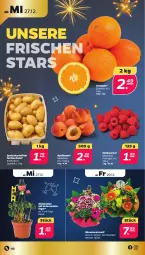 Gazetka promocyjna Netto - Woche 52 - Gazetka - ważna od 30.12 do 30.12.2023 - strona 2 - produkty: aprikose, aprikosen, beere, beeren, eis, glücksklee, himbeer, himbeere, himbeeren, kartoffel, kartoffeln, orange, orangen, Schornsteinfeger, speisekartoffeln, topf