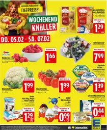 Gazetka promocyjna Edeka - Prospekte - Gazetka - ważna od 07.02 do 07.02.2026 - strona 27 - produkty: Becher, beutel, camembert, creme, eis, katzennahrung, Kinder, milch, milch-schnitte, pingui, reis, Ria, Ti, tiefpreis, tomate, tomaten