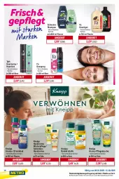 Gazetka promocyjna Metro - Starke Marken - Gazetka - ważna od 11.10 do 11.10.2025 - strona 14 - produkty: angebot, arla, Bad, Badekristalle, Brei, creme, deo, deospray, dusche, duschgel, Einmalhandtücher, eis, fa duschgel, flasche, flüssigseife, Haarlack, haarspray, handcreme, handtuch, handtücher, kneipp, lack, Palette, pflegedusche, schauma, schauma shampoo, Seife, shampoo, Taft, Ti, tuc, tücher