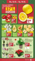 Gazetka promocyjna Aldi Nord - Von Montag - Gazetka - ważna od 14.12 do 14.12.2024 - strona 25 - produkty: aldi, avocado, avocados, champignon, champignons, eis, elle, Germ, kulturtopf, LG, Mett, Nashi, orchidee, paprika, paprika rot, pflanze, Pomelo, reis, Schal, Schale, Schmetterling, schmetterlingsorchidee, tee, Ti, topf, Weihnachtsstern, ZTE, zwiebel