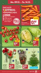 Gazetka promocyjna Aldi Nord - Von Montag - Gazetka - ważna od 14.12 do 14.12.2024 - strona 3 - produkty: aldi, beutel, eis, gin, korb, LG, möhren, reis, Ria, rispentomaten, Schal, Schale, speisemöhren, spitzkohl, Ti, tomate, tomaten, Vase, ZTE, zwiebel, zwiebeln