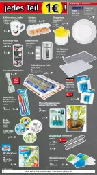 Gazetka promocyjna Thomas Philipps - Prospektwerbung - Gazetka - ważna od 05.02 do 05.02.2022 - strona 8 - produkty: Bad, batterie, batterien, Becher, Behälter, bett, Draht, edelstahl, eier, eis, flasche, kaffee, kaffeebecher, Klammern, kochfeld, Kugel, lamm, pflanze, pflanzen, rel, Ti, Zitruspresse