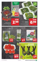 Gazetka promocyjna Marktkauf - Prospekt - Gazetka - ważna od 03.04 do 03.04.2021 - strona 7 - produkty: axe, bio, blattspinat, bohne, bohnen, cola, deka, edeka bio, feldsalat, grüne bohnen, kräuter, Kräutermischung, rel, rispentomaten, ritter, rucola, salat, Salatmix, Schal, Schale, spinat, Ti, tomate, tomaten