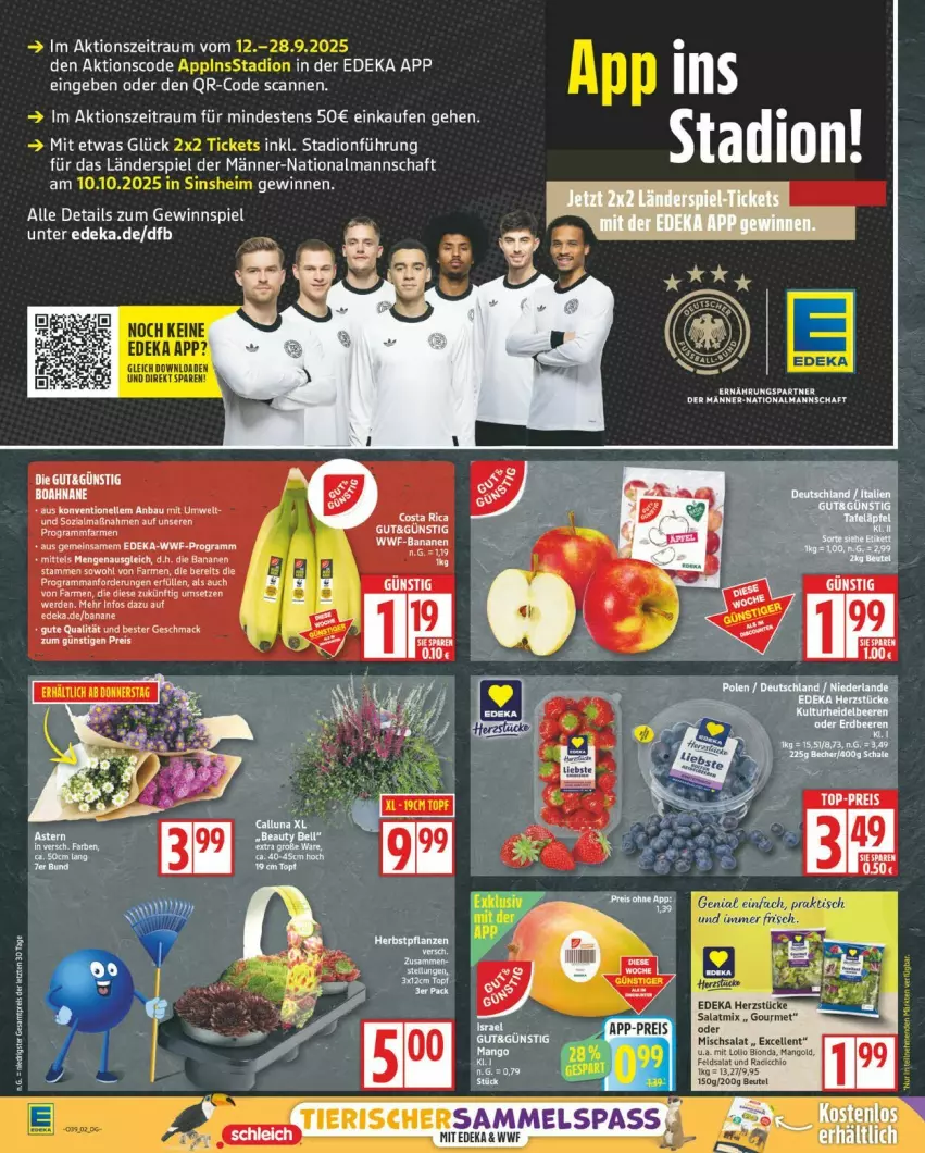 Aktueller Prospekt Edeka - Prospekte - von 22.09 bis 27.09.2025 - strona 2 - produkty: aust, banane, bananen, Bau, deka, eier, eis, elle, ente, erde, gewinnspiel, reis, salat, Salatmix, Ti