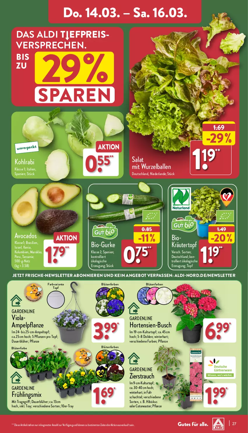 Aktueller Prospekt Aldi Nord - Von Montag - von 11.03 bis 16.03.2024 - strona 27 - produkty: aldi, angebot, auer, avocado, avocados, ball, bio, Blüte, Brei, eis, gurke, hortensie, hortensien, kohlrabi, kräuter, kulturtopf, ndk, pflanze, pflanzen, Rauch, reis, Ria, salat, tender, Ti, topf, tragegriff, trolli, ZTE