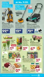 Gazetka promocyjna Aldi Nord - Von Montag - Gazetka - ważna od 16.03 do 16.03.2024 - strona 15 - produkty: adapter, ball, beutel, blume, blumen, Blüte, Brei, bügel, bürste, dahlie, dell, eis, ferrex, gin, Gladiolen, hochdruckreiniger, kartoffel, kartoffeln, kulturtopf, Mode, papier, pflanze, rasen, reiniger, Reinigung, Reinigungsmittel, reis, Ria, Schal, schlauch, senf, Tasche, Ti, tiefpreis, Tiere, topf, tragegriff, tragetasche, Vase, wasser, wasserfilter, ZTE, zwiebel, zwiebeln