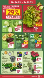 Gazetka promocyjna Aldi Nord - Von Montag - Gazetka - ważna od 16.03 do 16.03.2024 - strona 27 - produkty: aldi, angebot, auer, avocado, avocados, ball, bio, Blüte, Brei, eis, gurke, hortensie, hortensien, kohlrabi, kräuter, kulturtopf, ndk, pflanze, pflanzen, Rauch, reis, Ria, salat, tender, Ti, topf, tragegriff, trolli, ZTE