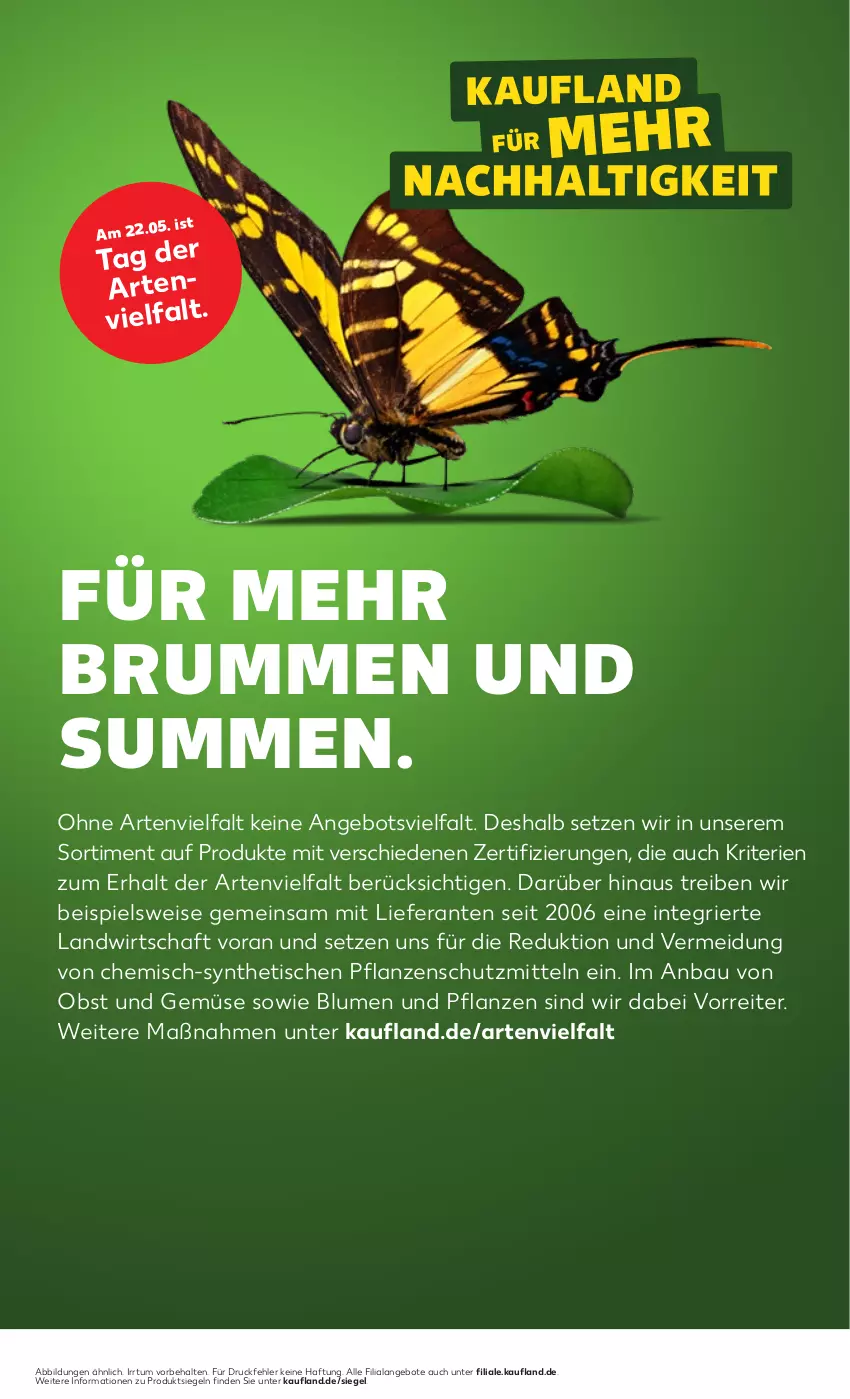 Aktueller Prospekt Kaufland - Prospekt - von 16.05 bis 22.05.2024 - strona 51 - produkty: angebot, angebote, Bau, blume, blumen, Blumen und Pflanzen, eis, obst, Obst und Gemüse, pflanze, pflanzen, rum, Ti, tisch, und gemüse