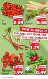 Gazetka promocyjna Kaufland - Prospekt - Gazetka - ważna od 22.05 do 22.05.2024 - strona 17 - produkty: angebot, angebote, beere, beeren, cocktail, eis, erdbeere, erdbeeren, Lauchzwiebel, lauchzwiebeln, radieschen, rhabarber, rispentomaten, Schal, Schale, spargel, spargel grün, Ti, tomate, tomaten, zwiebel, zwiebeln