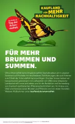 Gazetka promocyjna Kaufland - Prospekt - Gazetka - ważna od 22.05 do 22.05.2024 - strona 51 - produkty: angebot, angebote, Bau, blume, blumen, Blumen und Pflanzen, eis, obst, Obst und Gemüse, pflanze, pflanzen, rum, Ti, tisch, und gemüse