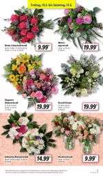 Gazetka promocyjna Lidl - Aktionsprospekt - Gazetka - ważna od 13.05 do 13.05.2023 - strona 5 - produkty: angebot, blume, blumen, Blumenstrauß, eis, limo, reis, rosen, Ti, ZTE