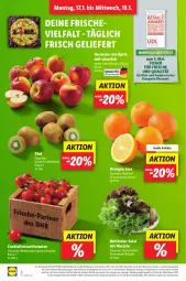 Gazetka promocyjna Lidl - Aktionsprospekt - Gazetka - ważna od 22.01 do 22.01.2022 - strona 2 - produkty: Abtei, angebot, cocktail, cocktails, discount, eis, frucht, früchte, kiwi, LG, magazin, obst, Obst und Gemüse, orange, orangen, Rauch, reis, salat, strauchtomaten, Ti, tomate, tomaten, und gemüse
