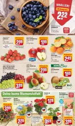 Gazetka promocyjna Rewe - Prospekte - Gazetka - ważna od 25.04 do 25.04.2022 - strona 2 - produkty: aktionspreis, beere, beeren, beutel, bio, Birnen, blume, blumen, cocktail, eis, elle, erdbeere, erdbeeren, erde, Garten, Gemüseerde, geranie, heidelbeere, heidelbeeren, kiwi, orange, orangen, pflanze, pflanzen, reis, rote tafeläpfel, saft, Saftorangen, Schal, Schale, stauden, tafeläpfel, tafelbirnen, tafeltrauben, Ti, tomate, tomaten, topf, trauben, und gemüse
