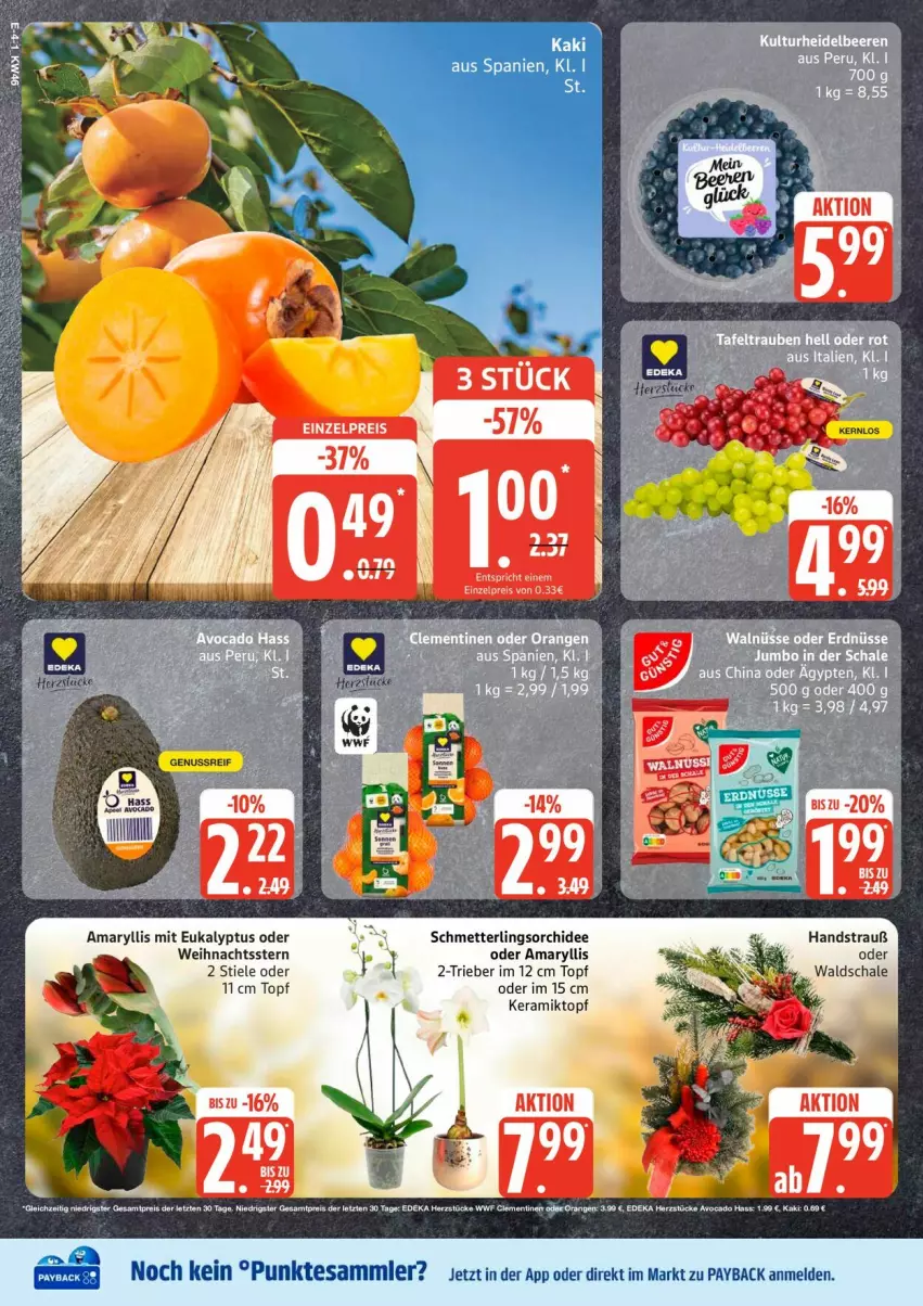 Aktueller Prospekt Edeka - Prospekte - von 10.11 bis 15.11.2025 - strona 4 - produkty: eis, Mett, orchidee, payback, reis, Schal, Schale, Schmetterling, schmetterlingsorchidee, tesa, Ti, topf, Weihnachtsstern