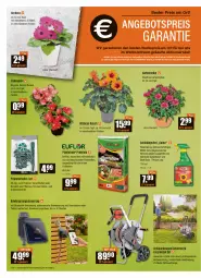 Gazetka promocyjna Vmarkt - V-Baumarkt - Gazetka - ważna od 25.05 do 25.05.2022 - strona 2 - produkty: angebot, angebotspreis, auer, auto, Bau, Begonia, Begonie, Blüte, eis, elle, Garten, gartennelke, Gerber, im 9-cm-topf, LG, pflanze, pflanzen, Rauch, reis, rosen, schlauch, schlauchwagen, smartphone, tablet, teller, Ti, Tiere, tisch, topf, übertopf, Yo