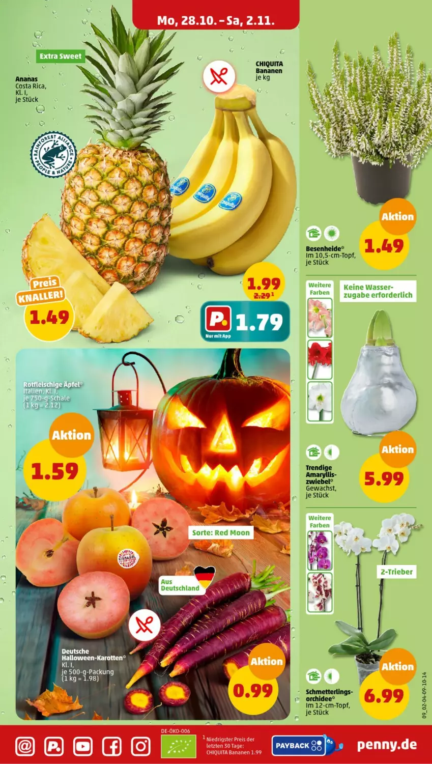 Aktueller Prospekt Penny - Prospekte - von 28.10 bis 02.11.2024 - strona 9 - produkty: ananas, banane, bananen, chiquita, eis, karotten, topf, wasser, zwiebel