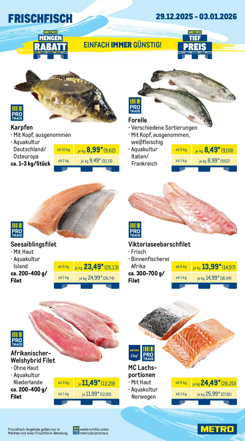 Aktueller Prospekt Metro - Wochen-Angebote - von 29.12.2025 bis 03.01.2026 - strona 5 - produkty: Abtei, angebot, angebote, aqua, eis, elle, filet, fisch, fische, Fischer, fleisch, forelle, frischfisch, lachs, Metro, rel, Ria, rwe, Saibling, Schere, Seesaiblingsfilet, Sport, Ti, Wels