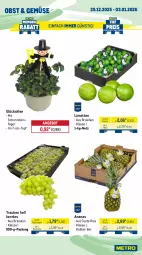 Gazetka promocyjna Metro - Wochen-Angebote - Gazetka - ważna od 03.01 do 03.01.2026 - strona 7 - produkty: ananas, angebot, glücksklee, limette, limetten, Mett, metten, obst, Schornsteinfeger, Ti, topf, trauben