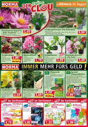 Gazetka promocyjna Norma - Norma - Gazetka - ważna od 29.08 do 29.08.2022 - strona 12 - produkty: Alpenveilchen, apfel, beere, bio, Blüte, Cap, decke, Duftspray, dünger, eis, ente, erde, fairy, flasche, Garten, geschirr, Grünpflanzen, hama, himbeer, himbeere, HP, ingwer, kulturtopf, Lampe, LG, lufterfrischer, mac, macadamia, mango, maracuja, monster, Monstera, orange, orangen, orchidee, orchideen, pflanze, pflanzen, pflanzerde, rasen, Rauch, reiniger, rosen, rum, Sempervivum, Spezi, stauden, Tasche, Ti, tisch, topf, tragetasche, übertopf, und gemüse, vanille, zitrone, zitronen