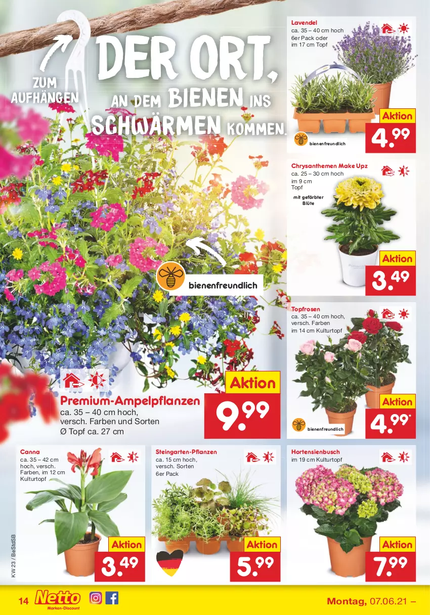 Aktueller Prospekt Netto Marken-Discount - Filial Angebote - von 07.06 bis 12.06.2021 - strona 14