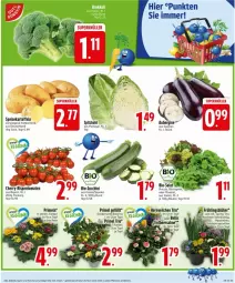 Gazetka promocyjna Edeka - Prospekte - Gazetka - ważna od 22.02 do 22.02.2025 - strona 5 - produkty: aubergine, beutel, blattspinat, cola, eis, gin, kartoffel, kartoffeln, Primeln, rispentomaten, rucola, sac, salat, speisekartoffeln, spinat, spitzkohl, Ti, tomate, tomaten, topf, trauben