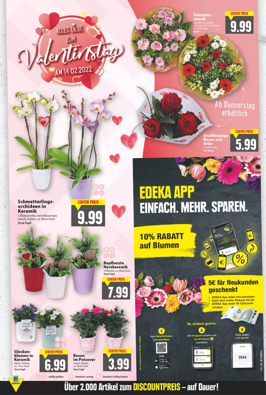 Aktueller Prospekt E Center - Angebote der Woche - von 07.02 bis 12.02.2022 - strona 7 - produkty: alle coupons, blume, blumen, Blüte, coupon, coupons, deka, eis, google play, gutschein, Mett, orchidee, orchideen, pflanze, pflanzen, rosen, Schmetterling, topf, ZTE