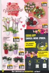 Gazetka promocyjna E Center - Angebote der Woche - Gazetka - ważna od 12.02 do 12.02.2022 - strona 7 - produkty: alle coupons, blume, blumen, Blüte, coupon, coupons, deka, eis, google play, gutschein, Mett, orchidee, orchideen, pflanze, pflanzen, rosen, Schmetterling, topf, ZTE