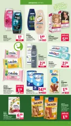 Gazetka promocyjna Wasgau - Gazetka - ważna od 18.04 do 18.04.2026 - strona 19 - produkty: alkohol, cottonelle, creme, deo, deospray, dove, duschdas, dusche, eis, elle, feuchtes toilettenpapier, flasche, fleisch, folgemilch, hundenahrung, keks, Kinder, kraft, LG, milch, Odol, papier, pasta, reis, schauma, schauma shampoo, schoko, shampoo, shampoo oder spülung, snack, snacks, spülung, Ti, toilettenpapier, vita, vitakraft, zahnpasta