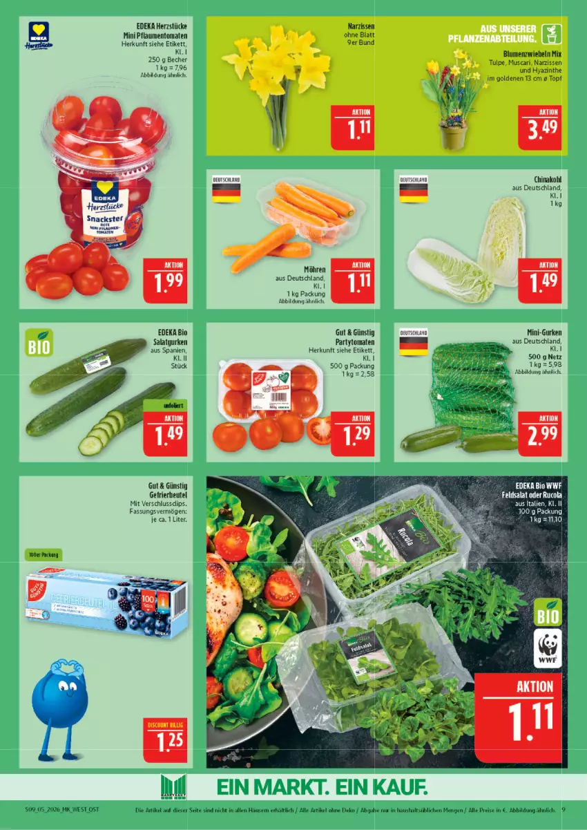 Aktueller Prospekt Marktkauf - Prospekt - von 25.01 bis 31.01.2026 - strona 9 - produkty: Becher, bio, blume, blumen, deka, edeka bio, eis, gurke, gurken, Heu, mini-gurken, möhren, Narzissen, pflaume, pflaumen, reis, salat, Salatgurke, salatgurken, Ti, tomate, tomaten, topf, zwiebel, zwiebeln